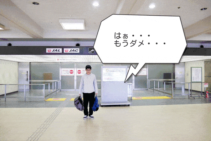 JAL動画