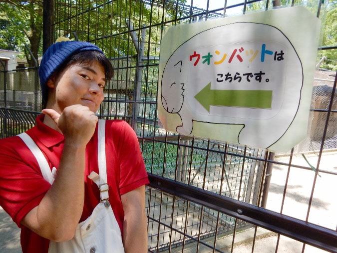 五月山動物園の完全ガイド！日本に5頭のウォンバットとは？