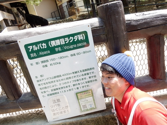 五月山動物園 (10)