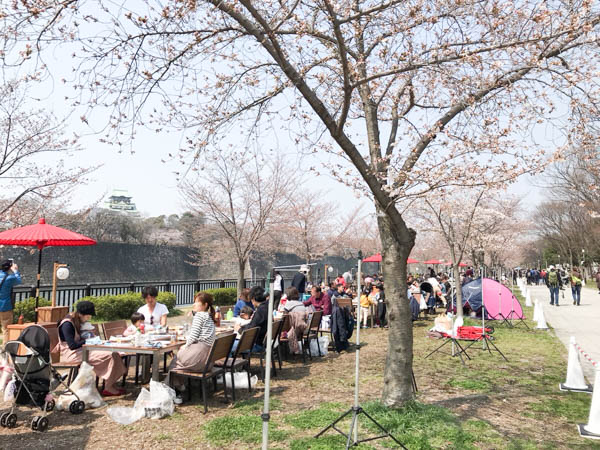 大阪城公園の桜とバーベキュー「和ーべきゅう」を最速レポート！