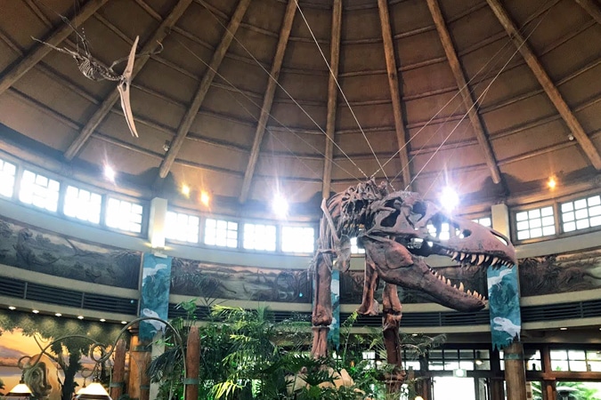 大迫力の恐竜化石は必見！大阪市立自然史博物館を徹底紹介！