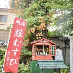 【大阪】願いが叶うパワースポット7選♡♡｜恋愛成就・縁結び