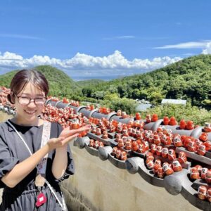 勝ちダルマで有名な「勝尾寺」ってどんなとこ？見どころを徹底解説！