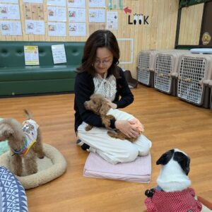【長居】モフモフほっこり「保護犬パーク長居店」でワンコとふれあう