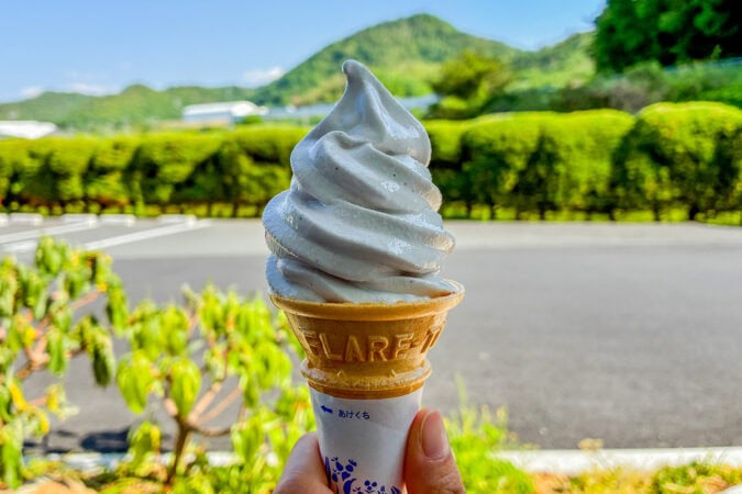 道の駅瑞穂の里さらびきの黒豆ソフトクリーム