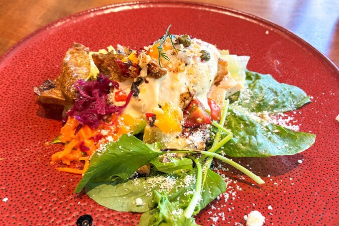 箕面「YAMAMINEモダン食堂」の豪華な前菜サラダ